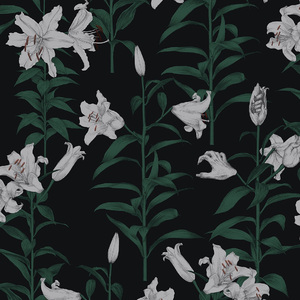 日本美女祼装的视频
